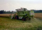 Claas Drescher 15